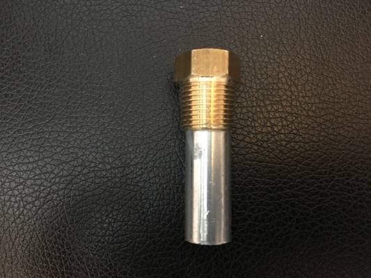 Thang nước nóng lõi sắt Anode nhựa hoặc không gỉ để tương thích